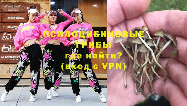 не бодяженный Абаза