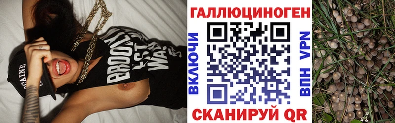 Псилоцибиновые грибы ЛСД  наркотики  Холмск 
